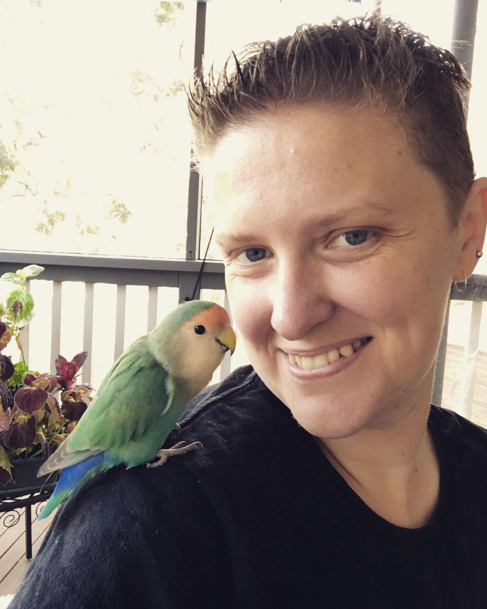 Dr. Amy E. Brown